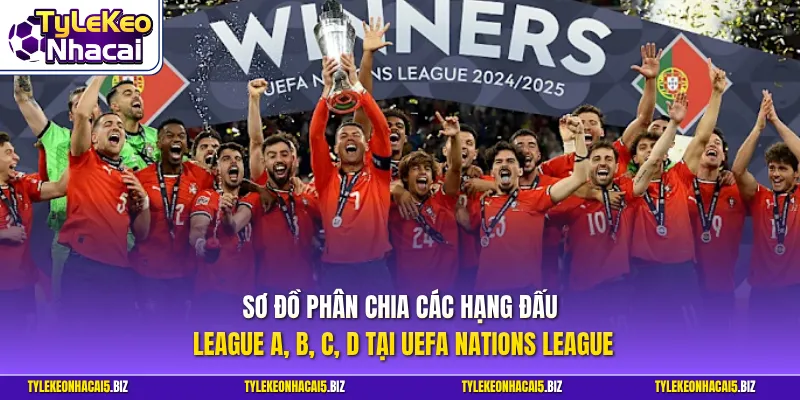 Sơ đồ phân chia các hạng đấu League A, B, C, D tại UEFA Nations League